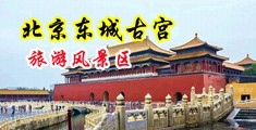 美女操逼不打马赛克视频网站中国北京-东城古宫旅游风景区